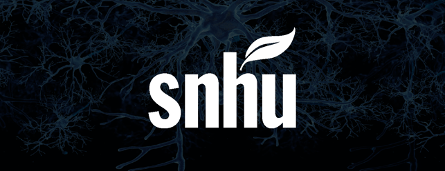 Southern New Hampshire University VR learning logo